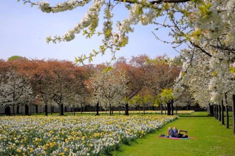 Schwetzingen, Spring in the Palace Gardens