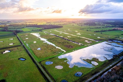 Vreeser Wiesen Bockholter Dose drone image, rewetted bog area, Bockholter Dose nature reserve,