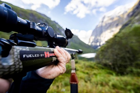 Viddal, More og Romsdal, Norway, Hunting, Rifle, Rifle scope, Europe