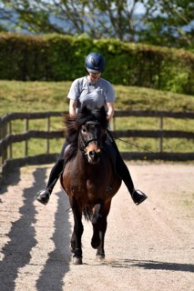 Young rider training with an Icelandic horse at tölt on an oval track