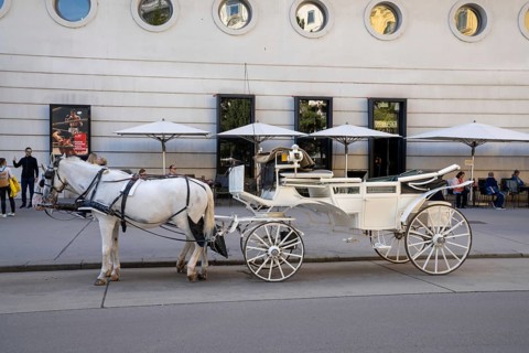 Vienna, Austria, 22 September, 2022: white horse and carriage outisde of the Spanish Riding School
