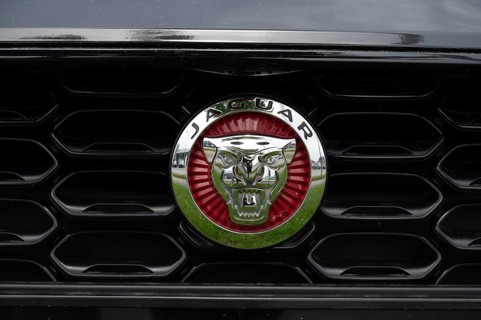 Logo of the car manufacturer Jaguar