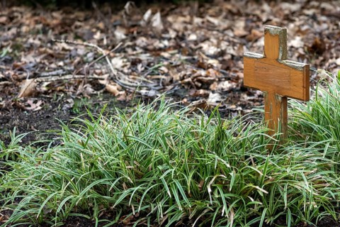 Small wooden cross in the grass
