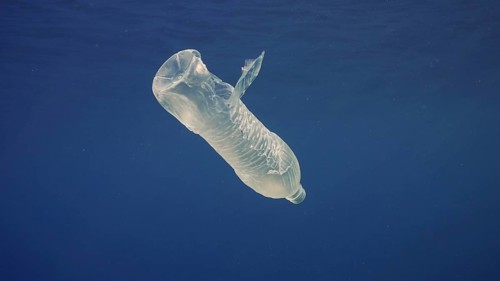 Disposable plastic bottle drift under surface of blue water. A plastic bottle is thrown into sea