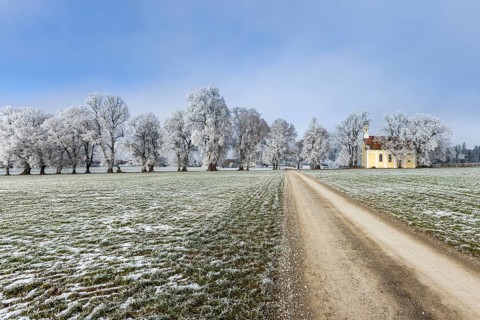 A frosty path between snow-covered trees under a blue sky, Maria Schnee Chapel, Nassenbeuren,