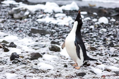 Beautiful landscape and scenery in Antarctica. Freezing