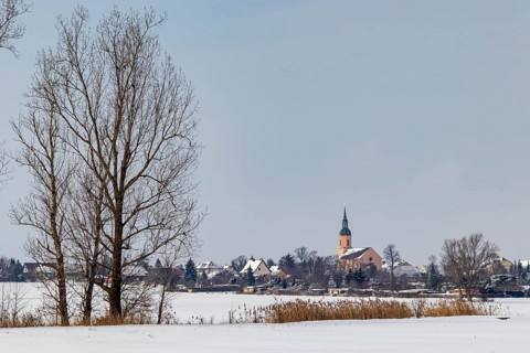 Bauda