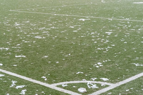 Details of soccer field on grass
