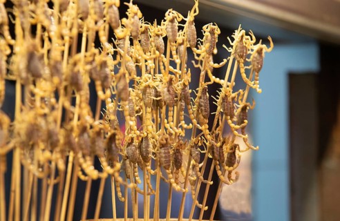 Cooked and tasty deep fried Scorpions on a stick. A special Chinese traditional street food