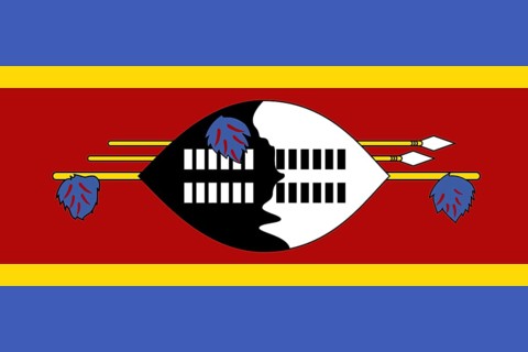 Flag of Eswatini Swaziland, Vector illustration