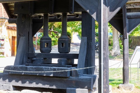 The idyllic, listed Hoflößnitz is a jewel of the Saxon wine culture landscape and the first and
