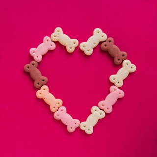 Dog snacks heart shape