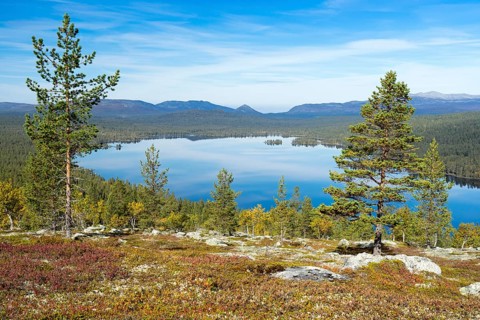 Gutulisjøen, Gutuli Lake, Gutulia National Park, Engerdal, Hedmark, Norway, Europe