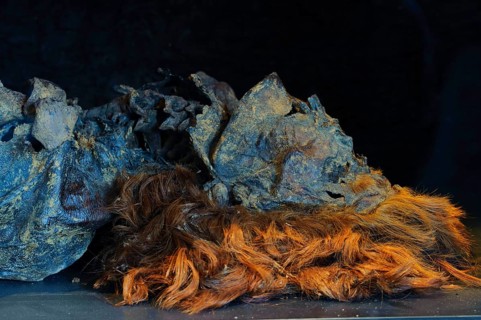 Bog body of Husbaeke, Landesmuseum Oldenburg, Lower Saxony, Germany, Europe