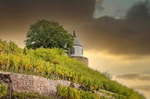 The Jakobsturm, a vineyard pavilion and vantage point over the vineyards of Wackerbarth Castle,