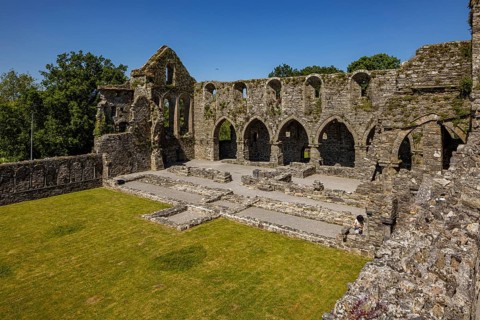 Jerpoint Abbey, County Kilkenny, Ireland, Europe