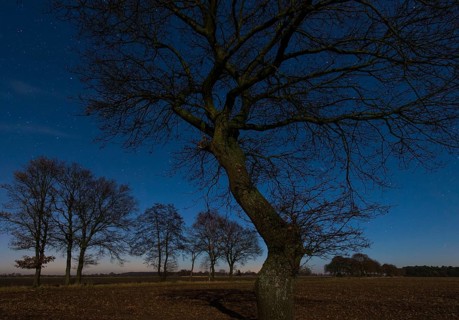 Starry sky, Lower Saxony, Germany, Europe