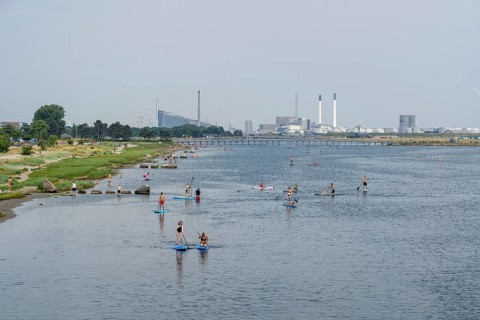 Copenhagen, Denmark, June 21, 2021: People doing SUP, stand up paddle at Amager Beach Park, Europe