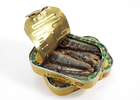 Sardine, Sardines, Other animals, Fish, Animals, Herring-like, TIN OR CAN OF SARDINES against white