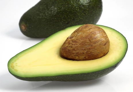 Avocado, persea gratissima against White Background