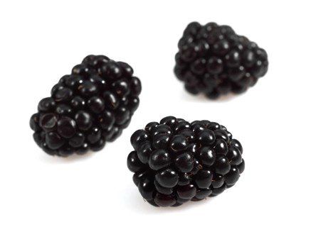 BLACKBERRIES (morus)AGAINST WHITE BACKGROUND
