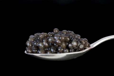 Caviar, sturgeon eggs