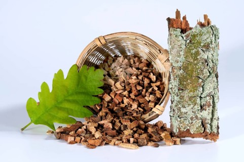 English oak (Quercus robur), bark, oak bark, bottle