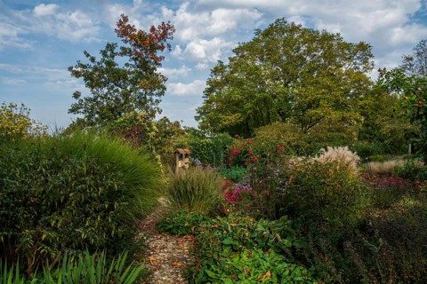 Autumn in the District Teaching Garden