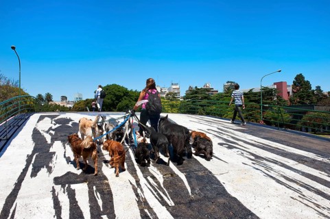 Dog sitter, Woman with many dogs, Beautiful Bridge No. 1, Pedestrian bridge over Libertador Avenue,