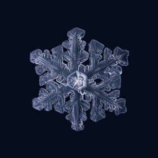 Macro shot of a real snowflake