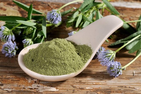 Trigonella caerulea (Trigonella caerulea), dried, dried, Zigonella, Zigainerkraut, Cheese Clover,