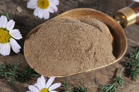Roman Bertram, dried (Anacyclus pyrethrum)