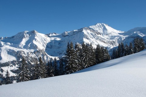 Wildhorn, view from the Wispile, mountain near Gstaad