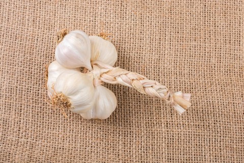 Cloves of garlic placed on a canvas texture