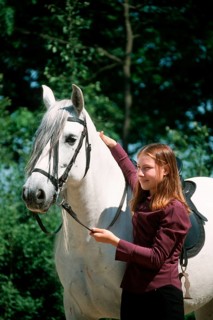 Andalusian girl, gelding, PRE, Pura Raza Espanol, grey, bridle