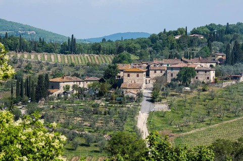 Winery Castello di Ama, Chianti region, Tuscany, Italy, Europe