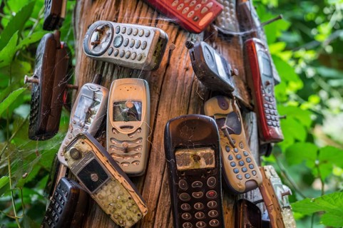 Old mobile phones nailed to a trunk. The severely damaged mobile phones are covered in spider webs