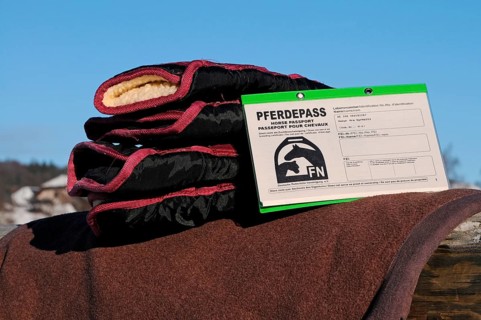 Transport gaiters and equine passport, horse passport