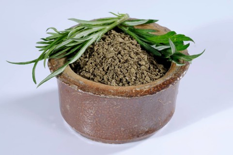 Common Mugwort (Artemisia vulgaris), dried