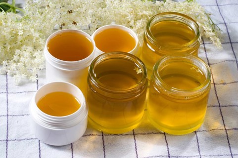 Elder (Sambucus nigra), production of elderberry ointment, vessels with still liquid ointment, let