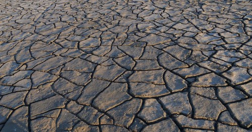 Drought in the Marshes of Camargue, Les Saintes Maries de la Mer, in the South East of France