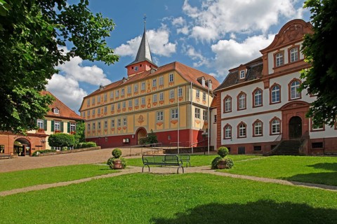 Castle, Bad König, Odenwaldkreis, Hesse, Germany, Europe