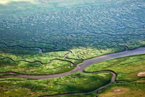 Salt marshes, marshland, between Hitzsand and dyke, St. Peter-Ording, Eiderstedt,