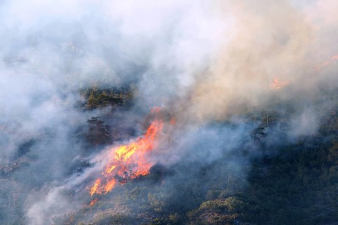 Forest fire on Mt Hochmahdkopf, Tyrol, Austria, Europe