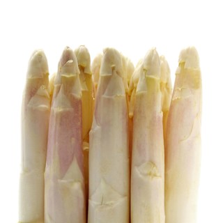 Asparagus (asparagus officinalis), Vegetables against White Background