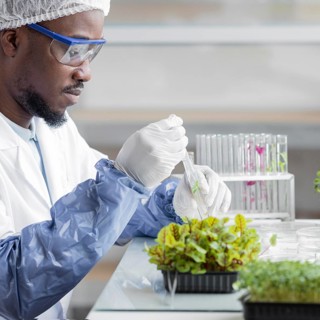 Side view male researcher biotechnology laboratory with plant