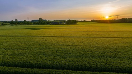 Aerial view, Denmark, Region Syddanmark, Christiansfeld, Agriculture and farms with grain and rape
