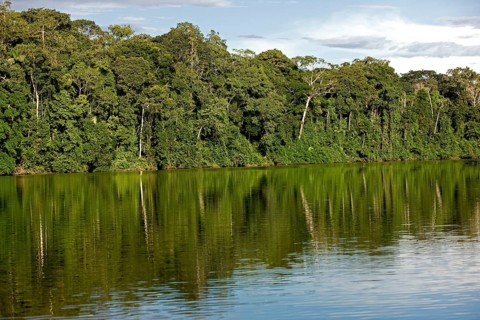 Rainforest and Madre de Dios River, Manu National Park in Peru