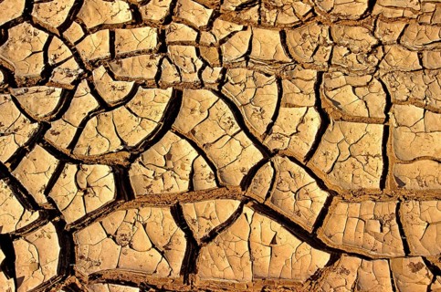 Drought in Desert near Walvis Bay, Namibia, Africa