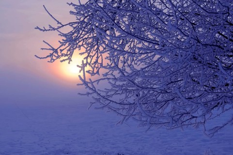 Sunrise with snow at Maulbronn, morning mood, fog with snow, dirt road with snow, sun with rays,